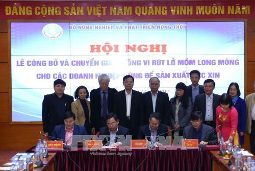 Đại diện các doanh nghiệp được giao nhiệm vụ sản xuất vắc xin lở mồm long móng ký kết biên bản ghi nhớ với lãnh đạo Chi cục thú y vùng 6 (Bộ Nông nghiệp và Phát triển Nông thôn). Ảnh: Vũ Sinh - TTXVN Đại diện các doanh nghiệp được giao nhiệm vụ sản xuất vắc xin lở mồm long móng ký kết biên bản ghi nhớ với lãnh đạo Chi cục thú y vùng 6 (Bộ Nông nghiệp và Phát triển Nông thôn). Ảnh: Vũ Sinh - TTXVN