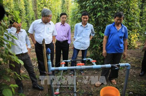 Các đại biểu tham quan mô hình tưới nhỏ giọt cho cây hồ tiêu của hộ anh Lê Văn Duẫn ở xã Tân Lập, huyện Đồng Phú. Ảnh: Đậu Tất Thành - TTXVN Các đại biểu tham quan mô hình tưới nhỏ giọt cho cây hồ tiêu của hộ anh Lê Văn Duẫn ở xã Tân Lập, huyện Đồng Phú. Ảnh: Đậu Tất Thành - TTXVN