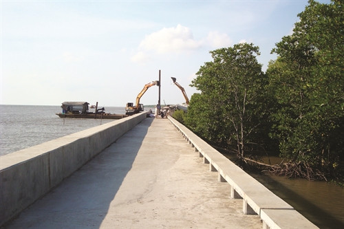 Tỉnh Cà Mau đã đầu tư hàng trăm tỷ đồng, chủ yếu là ngân sách địa phương để triển khai xây dựng đê, kè chắn sóng