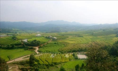 Đến với Lai Châu, du khách được chiêm ngưỡng hình ảnh ruộng bậc thang đẹp mắt. Ảnh: Việt Hoàng - TTXVN Đến với Lai Châu, du khách được chiêm ngưỡng hình ảnh ruộng bậc thang đẹp mắt. Ảnh: Việt Hoàng - TTXVN