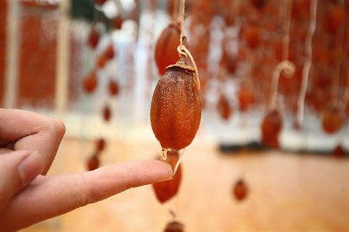 Khoảng cách giữa các dây treo hồng được cách nhau khoảng 25cm để bảo đảm tỷ lệ hồng treo không quá dầy khiến gió cũng như ánh nắng chiếu không vào được. Thung lũng Vàng, Khe Sanh, khu vực ngoại ô như Trại Mát, Cầu Đất, Đà Lạt tập trung đông với khoảng 300 cơ sở hồng treo gió. Đây còn được mệnh danh là thủ phủ của hồng với hàng trăm quả đồi bạt ngàn những vườn trồng hồng. Những cây hồng được trồng ở đây hầu hết là hồng giòn. Mùa hồng Đà Lạt bắt đầu từ giữa tháng 9 cho đến những mùa đông giá lạnh vào cuối tháng 11 đầu tháng 12. Vào thời điểm này thì các cây hồng đã trụi hẳn lá chỉ còn lại những quả hồng thắm đỏ trên cành cây. Trước đây, hồng giòn chỉ được người nông dân thu hoạch theo mùa vụ và bán cho các thương lái. Tuy nhiên từ năm 2012, những nông dân sản xuất hồng gió từ Nhật Bản và các chuyên gia nông nghiệp của Cơ quan hợp tác quốc tế Nhật Bản (JICA) tại Việt Nam đã đến Đà Lạt hướng dẫn cho hơn 100 hộ nông dân phương pháp chế biến hồng chỉ dùng nắng và gió tự nhiên. Hồng sau khi thu hoạch về, được người nông dân rửa sạch và phân loại. Những quả nào rụng cuống, bị dập trên đường vận chuyển sẽ được loại bỏ, sau đó tiếp tục được rửa nhiều lần bằng nước sạch. Gọt vỏ hồng cũng cần một kỹ thuật nhất định làm sao cho vỏ mỏng nhất và ko bị rụng cuống. Tiếp theo, hồng được vệ sinh sạch một lần nữa rồi đưa lên khay chuyển vào lò sấy khoảng hai đến ba giờ. Ông Trần Bình, chủ cơ sở hồng treo gió Hoàng Bình, cho biết: “Để làm ra những trái hồng sấy chuẩn vị chúng tôi phải bỏ ra 20 – 30 ngày, tùy thuộc vào thời tiết, nhiệt độ và độ ẩm. Chỉ cần thời tiết không ủng hộ, trời mà cứ mưa một tuần không có nắng thì coi như mất trắng cả vụ”. Hồng treo sau khi sấy qua, sẽ được treo lên bằng một sợi dây buộc vào cuống. Những quả hồng sẽ được treo cách nhau khoảng 25cm. Khoảng cách giữa các dây cũng được cách nhau khoảng 25cm để bảo đảm tỷ lệ hồng treo không quá dầy khiến gió cũng như ánh nắng chiếu không vào được. Sau khi một mẻ hồng được treo lên, người nông dân sẽ buộc một tờ lịch đánh dấu số ngày của mẻ hồng đó. Những quả hồng gió sau khoảng 15 ngày sẽ teo nhỏ lại. Ông Bình cũng chia sẻ thêm: “Làm hồng treo gió thu nhập có cao hơn thật nhưng kỳ công lắm. Phải bảo đảm các yếu tố vệ sinh, nhà lồng không để cho côn trùng bay vào. Người nông dân muốn vào nhà lồng đều phải qua một quá trình tẩy trùng trên người mới được vào thăm”. Để quả hồng ngon và ngọt hơn. Người nông dân còn phải “mát xa” nhẹ đề tay cho những quả hồng. Ông Bình cho biết: "Trong khi hồng sấy truyền thống có giá khoảng 200.000 - 250.000 đồng/kg thì hồng sấy treo theo công nghệ Nhật Bản được bán từ 400.000 - 420.000 đồng/kg nhưng không có đủ hàng để cung cấp cho thị trường do thời điểm gần Tết nhu cầu tiêu thụ lớn". Chính vì giá trị của hồng sấy theo công nghệ Nhật Bản tăng cao so với cách làm truyền thống nên ngày càng có nhiều cơ sở sản xuất ra đời. Đặc biệt, đã có hợp tác xã hồng sấy gió tại thôn Đất Làng (xã Xuân Thọ, TP Đà Lạt) được nhiều du khách biết đến và đánh giá cao về chất lượng. Cùng với việc phát triển ngành kinh tế nông nghiệp sạch, áp dụng công nghệ vào nông nghiệp, người nông dân thôn Đất Làng bắt đầu hướng tới phát triển theo hướng mô hình du lịch trải nghiệm tại các vườn hồng treo gió. Khoảng cách giữa các dây treo hồng được cách nhau khoảng 25cm để bảo đảm tỷ lệ hồng treo không quá dầy khiến gió cũng như ánh nắng chiếu không vào được. Thung lũng Vàng, Khe Sanh, khu vực ngoại ô như Trại Mát, Cầu Đất, Đà Lạt tập trung đông với khoảng 300 cơ sở hồng treo gió. Đây còn được mệnh danh là thủ phủ của hồng với hàng trăm quả đồi bạt ngàn những vườn trồng hồng. Những cây hồng được trồng ở đây hầu hết là hồng giòn. Mùa hồng Đà Lạt bắt đầu từ giữa tháng 9 cho đến những mùa đông giá lạnh vào cuối tháng 11 đầu tháng 12. Vào thời điểm này thì các cây hồng đã trụi hẳn lá chỉ còn lại những quả hồng thắm đỏ trên cành cây. Trước đây, hồng giòn chỉ được người nông dân thu hoạch theo mùa vụ và bán cho các thương lái. Tuy nhiên từ năm 2012, những nông dân sản xuất hồng gió từ Nhật Bản và các chuyên gia nông nghiệp của Cơ quan hợp tác quốc tế Nhật Bản (JICA) tại Việt Nam đã đến Đà Lạt hướng dẫn cho hơn 100 hộ nông dân phương pháp chế biến hồng chỉ dùng nắng và gió tự nhiên. Hồng sau khi thu hoạch về, được người nông dân rửa sạch và phân loại. Những quả nào rụng cuống, bị dập trên đường vận chuyển sẽ được loại bỏ, sau đó tiếp tục được rửa nhiều lần bằng nước sạch. Gọt vỏ hồng cũng cần một kỹ thuật nhất định làm sao cho vỏ mỏng nhất và ko bị rụng cuống. Tiếp theo, hồng được vệ sinh sạch một lần nữa rồi đưa lên khay chuyển vào lò sấy khoảng hai đến ba giờ. Ông Trần Bình, chủ cơ sở hồng treo gió Hoàng Bình, cho biết: “Để làm ra những trái hồng sấy chuẩn vị chúng tôi phải bỏ ra 20 – 30 ngày, tùy thuộc vào thời tiết, nhiệt độ và độ ẩm. Chỉ cần thời tiết không ủng hộ, trời mà cứ mưa một tuần không có nắng thì coi như mất trắng cả vụ”. Hồng treo sau khi sấy qua, sẽ được treo lên bằng một sợi dây buộc vào cuống. Những quả hồng sẽ được treo cách nhau khoảng 25cm. Khoảng cách giữa các dây cũng được cách nhau khoảng 25cm để bảo đảm tỷ lệ hồng treo không quá dầy khiến gió cũng như ánh nắng chiếu không vào được. Sau khi một mẻ hồng được treo lên, người nông dân sẽ buộc một tờ lịch đánh dấu số ngày của mẻ hồng đó. Những quả hồng gió sau khoảng 15 ngày sẽ teo nhỏ lại. Ông Bình cũng chia sẻ thêm: “Làm hồng treo gió thu nhập có cao hơn thật nhưng kỳ công lắm. Phải bảo đảm các yếu tố vệ sinh, nhà lồng không để cho côn trùng bay vào. Người nông dân muốn vào nhà lồng đều phải qua một quá trình tẩy trùng trên người mới được vào thăm”. Để quả hồng ngon và ngọt hơn. Người nông dân còn phải “mát xa” nhẹ đề tay cho những quả hồng. Ông Bình cho biết: "Trong khi hồng sấy truyền thống có giá khoảng 200.000 - 250.000 đồng/kg thì hồng sấy treo theo công nghệ Nhật Bản được bán từ 400.000 - 420.000 đồng/kg nhưng không có đủ hàng để cung cấp cho thị trường do thời điểm gần Tết nhu cầu tiêu thụ lớn". Chính vì giá trị của hồng sấy theo công nghệ Nhật Bản tăng cao so với cách làm truyền thống nên ngày càng có nhiều cơ sở sản xuất ra đời. Đặc biệt, đã có hợp tác xã hồng sấy gió tại thôn Đất Làng (xã Xuân Thọ, TP Đà Lạt) được nhiều du khách biết đến và đánh giá cao về chất lượng. Cùng với việc phát triển ngành kinh tế nông nghiệp sạch, áp dụng công nghệ vào nông nghiệp, người nông dân thôn Đất Làng bắt đầu hướng tới phát triển theo hướng mô hình du lịch trải nghiệm tại các vườn hồng treo gió.