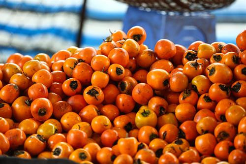 Khoảng cách giữa các dây treo hồng được cách nhau khoảng 25cm để bảo đảm tỷ lệ hồng treo không quá dầy khiến gió cũng như ánh nắng chiếu không vào được. Thung lũng Vàng, Khe Sanh, khu vực ngoại ô như Trại Mát, Cầu Đất, Đà Lạt tập trung đông với khoảng 300 cơ sở hồng treo gió. Đây còn được mệnh danh là thủ phủ của hồng với hàng trăm quả đồi bạt ngàn những vườn trồng hồng. Những cây hồng được trồng ở đây hầu hết là hồng giòn. Mùa hồng Đà Lạt bắt đầu từ giữa tháng 9 cho đến những mùa đông giá lạnh vào cuối tháng 11 đầu tháng 12. Vào thời điểm này thì các cây hồng đã trụi hẳn lá chỉ còn lại những quả hồng thắm đỏ trên cành cây. Trước đây, hồng giòn chỉ được người nông dân thu hoạch theo mùa vụ và bán cho các thương lái. Tuy nhiên từ năm 2012, những nông dân sản xuất hồng gió từ Nhật Bản và các chuyên gia nông nghiệp của Cơ quan hợp tác quốc tế Nhật Bản (JICA) tại Việt Nam đã đến Đà Lạt hướng dẫn cho hơn 100 hộ nông dân phương pháp chế biến hồng chỉ dùng nắng và gió tự nhiên. Hồng sau khi thu hoạch về, được người nông dân rửa sạch và phân loại. Những quả nào rụng cuống, bị dập trên đường vận chuyển sẽ được loại bỏ, sau đó tiếp tục được rửa nhiều lần bằng nước sạch. Gọt vỏ hồng cũng cần một kỹ thuật nhất định làm sao cho vỏ mỏng nhất và ko bị rụng cuống. Tiếp theo, hồng được vệ sinh sạch một lần nữa rồi đưa lên khay chuyển vào lò sấy khoảng hai đến ba giờ. Ông Trần Bình, chủ cơ sở hồng treo gió Hoàng Bình, cho biết: “Để làm ra những trái hồng sấy chuẩn vị chúng tôi phải bỏ ra 20 – 30 ngày, tùy thuộc vào thời tiết, nhiệt độ và độ ẩm. Chỉ cần thời tiết không ủng hộ, trời mà cứ mưa một tuần không có nắng thì coi như mất trắng cả vụ”. Hồng treo sau khi sấy qua, sẽ được treo lên bằng một sợi dây buộc vào cuống. Những quả hồng sẽ được treo cách nhau khoảng 25cm. Khoảng cách giữa các dây cũng được cách nhau khoảng 25cm để bảo đảm tỷ lệ hồng treo không quá dầy khiến gió cũng như ánh nắng chiếu không vào được. Sau khi một mẻ hồng được treo lên, người nông dân sẽ buộc một tờ lịch đánh dấu số ngày của mẻ hồng đó. Những quả hồng gió sau khoảng 15 ngày sẽ teo nhỏ lại. Ông Bình cũng chia sẻ thêm: “Làm hồng treo gió thu nhập có cao hơn thật nhưng kỳ công lắm. Phải bảo đảm các yếu tố vệ sinh, nhà lồng không để cho côn trùng bay vào. Người nông dân muốn vào nhà lồng đều phải qua một quá trình tẩy trùng trên người mới được vào thăm”. Để quả hồng ngon và ngọt hơn. Người nông dân còn phải “mát xa” nhẹ đề tay cho những quả hồng. Ông Bình cho biết: "Trong khi hồng sấy truyền thống có giá khoảng 200.000 - 250.000 đồng/kg thì hồng sấy treo theo công nghệ Nhật Bản được bán từ 400.000 - 420.000 đồng/kg nhưng không có đủ hàng để cung cấp cho thị trường do thời điểm gần Tết nhu cầu tiêu thụ lớn". Chính vì giá trị của hồng sấy theo công nghệ Nhật Bản tăng cao so với cách làm truyền thống nên ngày càng có nhiều cơ sở sản xuất ra đời. Đặc biệt, đã có hợp tác xã hồng sấy gió tại thôn Đất Làng (xã Xuân Thọ, TP Đà Lạt) được nhiều du khách biết đến và đánh giá cao về chất lượng. Cùng với việc phát triển ngành kinh tế nông nghiệp sạch, áp dụng công nghệ vào nông nghiệp, người nông dân thôn Đất Làng bắt đầu hướng tới phát triển theo hướng mô hình du lịch trải nghiệm tại các vườn hồng treo gió. Khoảng cách giữa các dây treo hồng được cách nhau khoảng 25cm để bảo đảm tỷ lệ hồng treo không quá dầy khiến gió cũng như ánh nắng chiếu không vào được. Thung lũng Vàng, Khe Sanh, khu vực ngoại ô như Trại Mát, Cầu Đất, Đà Lạt tập trung đông với khoảng 300 cơ sở hồng treo gió. Đây còn được mệnh danh là thủ phủ của hồng với hàng trăm quả đồi bạt ngàn những vườn trồng hồng. Những cây hồng được trồng ở đây hầu hết là hồng giòn. Mùa hồng Đà Lạt bắt đầu từ giữa tháng 9 cho đến những mùa đông giá lạnh vào cuối tháng 11 đầu tháng 12. Vào thời điểm này thì các cây hồng đã trụi hẳn lá chỉ còn lại những quả hồng thắm đỏ trên cành cây. Trước đây, hồng giòn chỉ được người nông dân thu hoạch theo mùa vụ và bán cho các thương lái. Tuy nhiên từ năm 2012, những nông dân sản xuất hồng gió từ Nhật Bản và các chuyên gia nông nghiệp của Cơ quan hợp tác quốc tế Nhật Bản (JICA) tại Việt Nam đã đến Đà Lạt hướng dẫn cho hơn 100 hộ nông dân phương pháp chế biến hồng chỉ dùng nắng và gió tự nhiên. Hồng sau khi thu hoạch về, được người nông dân rửa sạch và phân loại. Những quả nào rụng cuống, bị dập trên đường vận chuyển sẽ được loại bỏ, sau đó tiếp tục được rửa nhiều lần bằng nước sạch. Gọt vỏ hồng cũng cần một kỹ thuật nhất định làm sao cho vỏ mỏng nhất và ko bị rụng cuống. Tiếp theo, hồng được vệ sinh sạch một lần nữa rồi đưa lên khay chuyển vào lò sấy khoảng hai đến ba giờ. Ông Trần Bình, chủ cơ sở hồng treo gió Hoàng Bình, cho biết: “Để làm ra những trái hồng sấy chuẩn vị chúng tôi phải bỏ ra 20 – 30 ngày, tùy thuộc vào thời tiết, nhiệt độ và độ ẩm. Chỉ cần thời tiết không ủng hộ, trời mà cứ mưa một tuần không có nắng thì coi như mất trắng cả vụ”. Hồng treo sau khi sấy qua, sẽ được treo lên bằng một sợi dây buộc vào cuống. Những quả hồng sẽ được treo cách nhau khoảng 25cm. Khoảng cách giữa các dây cũng được cách nhau khoảng 25cm để bảo đảm tỷ lệ hồng treo không quá dầy khiến gió cũng như ánh nắng chiếu không vào được. Sau khi một mẻ hồng được treo lên, người nông dân sẽ buộc một tờ lịch đánh dấu số ngày của mẻ hồng đó. Những quả hồng gió sau khoảng 15 ngày sẽ teo nhỏ lại. Ông Bình cũng chia sẻ thêm: “Làm hồng treo gió thu nhập có cao hơn thật nhưng kỳ công lắm. Phải bảo đảm các yếu tố vệ sinh, nhà lồng không để cho côn trùng bay vào. Người nông dân muốn vào nhà lồng đều phải qua một quá trình tẩy trùng trên người mới được vào thăm”. Để quả hồng ngon và ngọt hơn. Người nông dân còn phải “mát xa” nhẹ đề tay cho những quả hồng. Ông Bình cho biết: "Trong khi hồng sấy truyền thống có giá khoảng 200.000 - 250.000 đồng/kg thì hồng sấy treo theo công nghệ Nhật Bản được bán từ 400.000 - 420.000 đồng/kg nhưng không có đủ hàng để cung cấp cho thị trường do thời điểm gần Tết nhu cầu tiêu thụ lớn". Chính vì giá trị của hồng sấy theo công nghệ Nhật Bản tăng cao so với cách làm truyền thống nên ngày càng có nhiều cơ sở sản xuất ra đời. Đặc biệt, đã có hợp tác xã hồng sấy gió tại thôn Đất Làng (xã Xuân Thọ, TP Đà Lạt) được nhiều du khách biết đến và đánh giá cao về chất lượng. Cùng với việc phát triển ngành kinh tế nông nghiệp sạch, áp dụng công nghệ vào nông nghiệp, người nông dân thôn Đất Làng bắt đầu hướng tới phát triển theo hướng mô hình du lịch trải nghiệm tại các vườn hồng treo gió.