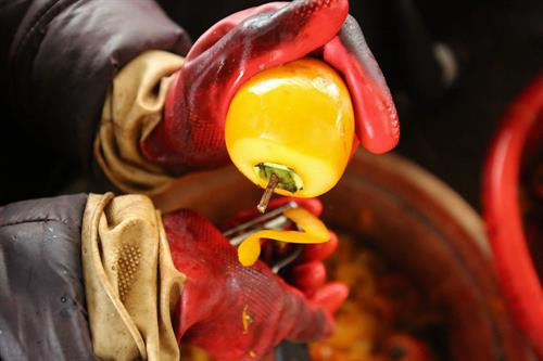 Khoảng cách giữa các dây treo hồng được cách nhau khoảng 25cm để bảo đảm tỷ lệ hồng treo không quá dầy khiến gió cũng như ánh nắng chiếu không vào được. Thung lũng Vàng, Khe Sanh, khu vực ngoại ô như Trại Mát, Cầu Đất, Đà Lạt tập trung đông với khoảng 300 cơ sở hồng treo gió. Đây còn được mệnh danh là thủ phủ của hồng với hàng trăm quả đồi bạt ngàn những vườn trồng hồng. Những cây hồng được trồng ở đây hầu hết là hồng giòn. Mùa hồng Đà Lạt bắt đầu từ giữa tháng 9 cho đến những mùa đông giá lạnh vào cuối tháng 11 đầu tháng 12. Vào thời điểm này thì các cây hồng đã trụi hẳn lá chỉ còn lại những quả hồng thắm đỏ trên cành cây. Trước đây, hồng giòn chỉ được người nông dân thu hoạch theo mùa vụ và bán cho các thương lái. Tuy nhiên từ năm 2012, những nông dân sản xuất hồng gió từ Nhật Bản và các chuyên gia nông nghiệp của Cơ quan hợp tác quốc tế Nhật Bản (JICA) tại Việt Nam đã đến Đà Lạt hướng dẫn cho hơn 100 hộ nông dân phương pháp chế biến hồng chỉ dùng nắng và gió tự nhiên. Hồng sau khi thu hoạch về, được người nông dân rửa sạch và phân loại. Những quả nào rụng cuống, bị dập trên đường vận chuyển sẽ được loại bỏ, sau đó tiếp tục được rửa nhiều lần bằng nước sạch. Gọt vỏ hồng cũng cần một kỹ thuật nhất định làm sao cho vỏ mỏng nhất và ko bị rụng cuống. Tiếp theo, hồng được vệ sinh sạch một lần nữa rồi đưa lên khay chuyển vào lò sấy khoảng hai đến ba giờ. Ông Trần Bình, chủ cơ sở hồng treo gió Hoàng Bình, cho biết: “Để làm ra những trái hồng sấy chuẩn vị chúng tôi phải bỏ ra 20 – 30 ngày, tùy thuộc vào thời tiết, nhiệt độ và độ ẩm. Chỉ cần thời tiết không ủng hộ, trời mà cứ mưa một tuần không có nắng thì coi như mất trắng cả vụ”. Hồng treo sau khi sấy qua, sẽ được treo lên bằng một sợi dây buộc vào cuống. Những quả hồng sẽ được treo cách nhau khoảng 25cm. Khoảng cách giữa các dây cũng được cách nhau khoảng 25cm để bảo đảm tỷ lệ hồng treo không quá dầy khiến gió cũng như ánh nắng chiếu không vào được. Sau khi một mẻ hồng được treo lên, người nông dân sẽ buộc một tờ lịch đánh dấu số ngày của mẻ hồng đó. Những quả hồng gió sau khoảng 15 ngày sẽ teo nhỏ lại. Ông Bình cũng chia sẻ thêm: “Làm hồng treo gió thu nhập có cao hơn thật nhưng kỳ công lắm. Phải bảo đảm các yếu tố vệ sinh, nhà lồng không để cho côn trùng bay vào. Người nông dân muốn vào nhà lồng đều phải qua một quá trình tẩy trùng trên người mới được vào thăm”. Để quả hồng ngon và ngọt hơn. Người nông dân còn phải “mát xa” nhẹ đề tay cho những quả hồng. Ông Bình cho biết: "Trong khi hồng sấy truyền thống có giá khoảng 200.000 - 250.000 đồng/kg thì hồng sấy treo theo công nghệ Nhật Bản được bán từ 400.000 - 420.000 đồng/kg nhưng không có đủ hàng để cung cấp cho thị trường do thời điểm gần Tết nhu cầu tiêu thụ lớn". Chính vì giá trị của hồng sấy theo công nghệ Nhật Bản tăng cao so với cách làm truyền thống nên ngày càng có nhiều cơ sở sản xuất ra đời. Đặc biệt, đã có hợp tác xã hồng sấy gió tại thôn Đất Làng (xã Xuân Thọ, TP Đà Lạt) được nhiều du khách biết đến và đánh giá cao về chất lượng. Cùng với việc phát triển ngành kinh tế nông nghiệp sạch, áp dụng công nghệ vào nông nghiệp, người nông dân thôn Đất Làng bắt đầu hướng tới phát triển theo hướng mô hình du lịch trải nghiệm tại các vườn hồng treo gió. Khoảng cách giữa các dây treo hồng được cách nhau khoảng 25cm để bảo đảm tỷ lệ hồng treo không quá dầy khiến gió cũng như ánh nắng chiếu không vào được. Thung lũng Vàng, Khe Sanh, khu vực ngoại ô như Trại Mát, Cầu Đất, Đà Lạt tập trung đông với khoảng 300 cơ sở hồng treo gió. Đây còn được mệnh danh là thủ phủ của hồng với hàng trăm quả đồi bạt ngàn những vườn trồng hồng. Những cây hồng được trồng ở đây hầu hết là hồng giòn. Mùa hồng Đà Lạt bắt đầu từ giữa tháng 9 cho đến những mùa đông giá lạnh vào cuối tháng 11 đầu tháng 12. Vào thời điểm này thì các cây hồng đã trụi hẳn lá chỉ còn lại những quả hồng thắm đỏ trên cành cây. Trước đây, hồng giòn chỉ được người nông dân thu hoạch theo mùa vụ và bán cho các thương lái. Tuy nhiên từ năm 2012, những nông dân sản xuất hồng gió từ Nhật Bản và các chuyên gia nông nghiệp của Cơ quan hợp tác quốc tế Nhật Bản (JICA) tại Việt Nam đã đến Đà Lạt hướng dẫn cho hơn 100 hộ nông dân phương pháp chế biến hồng chỉ dùng nắng và gió tự nhiên. Hồng sau khi thu hoạch về, được người nông dân rửa sạch và phân loại. Những quả nào rụng cuống, bị dập trên đường vận chuyển sẽ được loại bỏ, sau đó tiếp tục được rửa nhiều lần bằng nước sạch. Gọt vỏ hồng cũng cần một kỹ thuật nhất định làm sao cho vỏ mỏng nhất và ko bị rụng cuống. Tiếp theo, hồng được vệ sinh sạch một lần nữa rồi đưa lên khay chuyển vào lò sấy khoảng hai đến ba giờ. Ông Trần Bình, chủ cơ sở hồng treo gió Hoàng Bình, cho biết: “Để làm ra những trái hồng sấy chuẩn vị chúng tôi phải bỏ ra 20 – 30 ngày, tùy thuộc vào thời tiết, nhiệt độ và độ ẩm. Chỉ cần thời tiết không ủng hộ, trời mà cứ mưa một tuần không có nắng thì coi như mất trắng cả vụ”. Hồng treo sau khi sấy qua, sẽ được treo lên bằng một sợi dây buộc vào cuống. Những quả hồng sẽ được treo cách nhau khoảng 25cm. Khoảng cách giữa các dây cũng được cách nhau khoảng 25cm để bảo đảm tỷ lệ hồng treo không quá dầy khiến gió cũng như ánh nắng chiếu không vào được. Sau khi một mẻ hồng được treo lên, người nông dân sẽ buộc một tờ lịch đánh dấu số ngày của mẻ hồng đó. Những quả hồng gió sau khoảng 15 ngày sẽ teo nhỏ lại. Ông Bình cũng chia sẻ thêm: “Làm hồng treo gió thu nhập có cao hơn thật nhưng kỳ công lắm. Phải bảo đảm các yếu tố vệ sinh, nhà lồng không để cho côn trùng bay vào. Người nông dân muốn vào nhà lồng đều phải qua một quá trình tẩy trùng trên người mới được vào thăm”. Để quả hồng ngon và ngọt hơn. Người nông dân còn phải “mát xa” nhẹ đề tay cho những quả hồng. Ông Bình cho biết: "Trong khi hồng sấy truyền thống có giá khoảng 200.000 - 250.000 đồng/kg thì hồng sấy treo theo công nghệ Nhật Bản được bán từ 400.000 - 420.000 đồng/kg nhưng không có đủ hàng để cung cấp cho thị trường do thời điểm gần Tết nhu cầu tiêu thụ lớn". Chính vì giá trị của hồng sấy theo công nghệ Nhật Bản tăng cao so với cách làm truyền thống nên ngày càng có nhiều cơ sở sản xuất ra đời. Đặc biệt, đã có hợp tác xã hồng sấy gió tại thôn Đất Làng (xã Xuân Thọ, TP Đà Lạt) được nhiều du khách biết đến và đánh giá cao về chất lượng. Cùng với việc phát triển ngành kinh tế nông nghiệp sạch, áp dụng công nghệ vào nông nghiệp, người nông dân thôn Đất Làng bắt đầu hướng tới phát triển theo hướng mô hình du lịch trải nghiệm tại các vườn hồng treo gió.