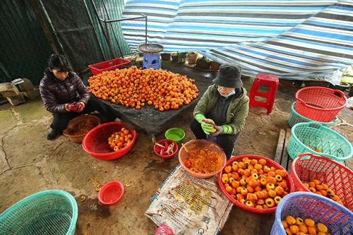 Khoảng cách giữa các dây treo hồng được cách nhau khoảng 25cm để bảo đảm tỷ lệ hồng treo không quá dầy khiến gió cũng như ánh nắng chiếu không vào được. Thung lũng Vàng, Khe Sanh, khu vực ngoại ô như Trại Mát, Cầu Đất, Đà Lạt tập trung đông với khoảng 300 cơ sở hồng treo gió. Đây còn được mệnh danh là thủ phủ của hồng với hàng trăm quả đồi bạt ngàn những vườn trồng hồng. Những cây hồng được trồng ở đây hầu hết là hồng giòn. Mùa hồng Đà Lạt bắt đầu từ giữa tháng 9 cho đến những mùa đông giá lạnh vào cuối tháng 11 đầu tháng 12. Vào thời điểm này thì các cây hồng đã trụi hẳn lá chỉ còn lại những quả hồng thắm đỏ trên cành cây. Trước đây, hồng giòn chỉ được người nông dân thu hoạch theo mùa vụ và bán cho các thương lái. Tuy nhiên từ năm 2012, những nông dân sản xuất hồng gió từ Nhật Bản và các chuyên gia nông nghiệp của Cơ quan hợp tác quốc tế Nhật Bản (JICA) tại Việt Nam đã đến Đà Lạt hướng dẫn cho hơn 100 hộ nông dân phương pháp chế biến hồng chỉ dùng nắng và gió tự nhiên. Hồng sau khi thu hoạch về, được người nông dân rửa sạch và phân loại. Những quả nào rụng cuống, bị dập trên đường vận chuyển sẽ được loại bỏ, sau đó tiếp tục được rửa nhiều lần bằng nước sạch. Gọt vỏ hồng cũng cần một kỹ thuật nhất định làm sao cho vỏ mỏng nhất và ko bị rụng cuống. Tiếp theo, hồng được vệ sinh sạch một lần nữa rồi đưa lên khay chuyển vào lò sấy khoảng hai đến ba giờ. Ông Trần Bình, chủ cơ sở hồng treo gió Hoàng Bình, cho biết: “Để làm ra những trái hồng sấy chuẩn vị chúng tôi phải bỏ ra 20 – 30 ngày, tùy thuộc vào thời tiết, nhiệt độ và độ ẩm. Chỉ cần thời tiết không ủng hộ, trời mà cứ mưa một tuần không có nắng thì coi như mất trắng cả vụ”. Hồng treo sau khi sấy qua, sẽ được treo lên bằng một sợi dây buộc vào cuống. Những quả hồng sẽ được treo cách nhau khoảng 25cm. Khoảng cách giữa các dây cũng được cách nhau khoảng 25cm để bảo đảm tỷ lệ hồng treo không quá dầy khiến gió cũng như ánh nắng chiếu không vào được. Sau khi một mẻ hồng được treo lên, người nông dân sẽ buộc một tờ lịch đánh dấu số ngày của mẻ hồng đó. Những quả hồng gió sau khoảng 15 ngày sẽ teo nhỏ lại. Ông Bình cũng chia sẻ thêm: “Làm hồng treo gió thu nhập có cao hơn thật nhưng kỳ công lắm. Phải bảo đảm các yếu tố vệ sinh, nhà lồng không để cho côn trùng bay vào. Người nông dân muốn vào nhà lồng đều phải qua một quá trình tẩy trùng trên người mới được vào thăm”. Để quả hồng ngon và ngọt hơn. Người nông dân còn phải “mát xa” nhẹ đề tay cho những quả hồng. Ông Bình cho biết: "Trong khi hồng sấy truyền thống có giá khoảng 200.000 - 250.000 đồng/kg thì hồng sấy treo theo công nghệ Nhật Bản được bán từ 400.000 - 420.000 đồng/kg nhưng không có đủ hàng để cung cấp cho thị trường do thời điểm gần Tết nhu cầu tiêu thụ lớn". Chính vì giá trị của hồng sấy theo công nghệ Nhật Bản tăng cao so với cách làm truyền thống nên ngày càng có nhiều cơ sở sản xuất ra đời. Đặc biệt, đã có hợp tác xã hồng sấy gió tại thôn Đất Làng (xã Xuân Thọ, TP Đà Lạt) được nhiều du khách biết đến và đánh giá cao về chất lượng. Cùng với việc phát triển ngành kinh tế nông nghiệp sạch, áp dụng công nghệ vào nông nghiệp, người nông dân thôn Đất Làng bắt đầu hướng tới phát triển theo hướng mô hình du lịch trải nghiệm tại các vườn hồng treo gió. Khoảng cách giữa các dây treo hồng được cách nhau khoảng 25cm để bảo đảm tỷ lệ hồng treo không quá dầy khiến gió cũng như ánh nắng chiếu không vào được. Thung lũng Vàng, Khe Sanh, khu vực ngoại ô như Trại Mát, Cầu Đất, Đà Lạt tập trung đông với khoảng 300 cơ sở hồng treo gió. Đây còn được mệnh danh là thủ phủ của hồng với hàng trăm quả đồi bạt ngàn những vườn trồng hồng. Những cây hồng được trồng ở đây hầu hết là hồng giòn. Mùa hồng Đà Lạt bắt đầu từ giữa tháng 9 cho đến những mùa đông giá lạnh vào cuối tháng 11 đầu tháng 12. Vào thời điểm này thì các cây hồng đã trụi hẳn lá chỉ còn lại những quả hồng thắm đỏ trên cành cây. Trước đây, hồng giòn chỉ được người nông dân thu hoạch theo mùa vụ và bán cho các thương lái. Tuy nhiên từ năm 2012, những nông dân sản xuất hồng gió từ Nhật Bản và các chuyên gia nông nghiệp của Cơ quan hợp tác quốc tế Nhật Bản (JICA) tại Việt Nam đã đến Đà Lạt hướng dẫn cho hơn 100 hộ nông dân phương pháp chế biến hồng chỉ dùng nắng và gió tự nhiên. Hồng sau khi thu hoạch về, được người nông dân rửa sạch và phân loại. Những quả nào rụng cuống, bị dập trên đường vận chuyển sẽ được loại bỏ, sau đó tiếp tục được rửa nhiều lần bằng nước sạch. Gọt vỏ hồng cũng cần một kỹ thuật nhất định làm sao cho vỏ mỏng nhất và ko bị rụng cuống. Tiếp theo, hồng được vệ sinh sạch một lần nữa rồi đưa lên khay chuyển vào lò sấy khoảng hai đến ba giờ. Ông Trần Bình, chủ cơ sở hồng treo gió Hoàng Bình, cho biết: “Để làm ra những trái hồng sấy chuẩn vị chúng tôi phải bỏ ra 20 – 30 ngày, tùy thuộc vào thời tiết, nhiệt độ và độ ẩm. Chỉ cần thời tiết không ủng hộ, trời mà cứ mưa một tuần không có nắng thì coi như mất trắng cả vụ”. Hồng treo sau khi sấy qua, sẽ được treo lên bằng một sợi dây buộc vào cuống. Những quả hồng sẽ được treo cách nhau khoảng 25cm. Khoảng cách giữa các dây cũng được cách nhau khoảng 25cm để bảo đảm tỷ lệ hồng treo không quá dầy khiến gió cũng như ánh nắng chiếu không vào được. Sau khi một mẻ hồng được treo lên, người nông dân sẽ buộc một tờ lịch đánh dấu số ngày của mẻ hồng đó. Những quả hồng gió sau khoảng 15 ngày sẽ teo nhỏ lại. Ông Bình cũng chia sẻ thêm: “Làm hồng treo gió thu nhập có cao hơn thật nhưng kỳ công lắm. Phải bảo đảm các yếu tố vệ sinh, nhà lồng không để cho côn trùng bay vào. Người nông dân muốn vào nhà lồng đều phải qua một quá trình tẩy trùng trên người mới được vào thăm”. Để quả hồng ngon và ngọt hơn. Người nông dân còn phải “mát xa” nhẹ đề tay cho những quả hồng. Ông Bình cho biết: "Trong khi hồng sấy truyền thống có giá khoảng 200.000 - 250.000 đồng/kg thì hồng sấy treo theo công nghệ Nhật Bản được bán từ 400.000 - 420.000 đồng/kg nhưng không có đủ hàng để cung cấp cho thị trường do thời điểm gần Tết nhu cầu tiêu thụ lớn". Chính vì giá trị của hồng sấy theo công nghệ Nhật Bản tăng cao so với cách làm truyền thống nên ngày càng có nhiều cơ sở sản xuất ra đời. Đặc biệt, đã có hợp tác xã hồng sấy gió tại thôn Đất Làng (xã Xuân Thọ, TP Đà Lạt) được nhiều du khách biết đến và đánh giá cao về chất lượng. Cùng với việc phát triển ngành kinh tế nông nghiệp sạch, áp dụng công nghệ vào nông nghiệp, người nông dân thôn Đất Làng bắt đầu hướng tới phát triển theo hướng mô hình du lịch trải nghiệm tại các vườn hồng treo gió.