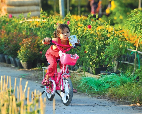 Con đường liên thôn đầy hoa 2 bên đường.