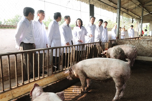 Huyện Gia Lâm đã tập trung triển khai Đề án phát triển vùng sản xuất nông nghiệp hàng hóa theo hướng chuyên canh giai đoạn 2016 - 2020. Phó Bí thư Thường trực Thành ủy Hà Nội Ngô Thị Thanh Hằng thăm mô hình chăn nuôi Trang trại Xanh tại xã Lệ Chi, huyện Gia Lâm. Phó Bí thư Thường trực Thành ủy Hà Nội Ngô Thị Thanh Hằng thăm bếp ăn của Trường mầm non xã Lệ Chi, huyện Gia Lâm.