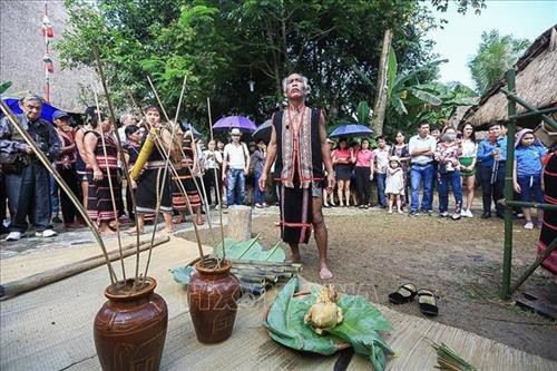 Già làng Xơ Đăng thực hiện lễ cũng mừng lúa mới. Ảnh: Trọng Đạt - TTXVN