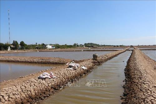 Hệ thống thủy lợi tại vùng nuôi Artemia Vĩnh Châu được quan tâm chú trọng đầu tư. Ảnh: Chanh Đa-TTXVN Hệ thống thủy lợi tại vùng nuôi Artemia Vĩnh Châu được quan tâm chú trọng đầu tư. Ảnh: Chanh Đa-TTXVN