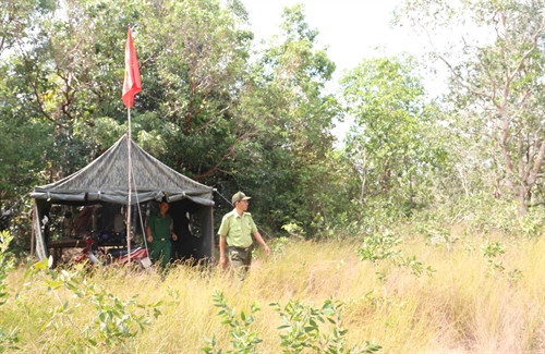 Lán trại giữ rừng mới được dựng trên cánh rừng Đồng Bà (xã Cửa Cạn), một trong hai lán trại thuộc Trạm Kiểm lâm Cửa Cạn (Hạt Kiểm lâm Vườn Quốc gia Phú Quốc) với lực lượng cán bộ kiểm lâm và chiến sĩ biên phòng ứng trực, thường xuyên tuần tra bảo vệ rừng. Ảnh chụp sáng ngày 01/4/2016.