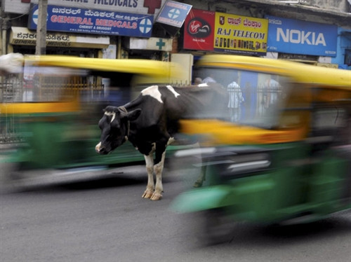 25 bức ảnh nhận "bão like" của năm ảnh 9