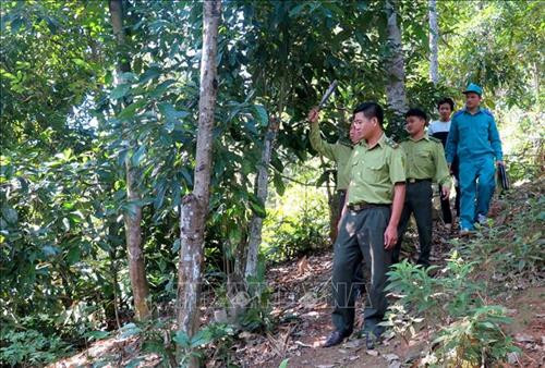 Lực lượng kiểm lâm Hạt kiểm lâm huyện Lâm Bình tuần tra, kiểm tra bảo vệ rừng. Ảnh: Văn Tý - TTXVN Lực lượng kiểm lâm Hạt kiểm lâm huyện Lâm Bình tuần tra, kiểm tra bảo vệ rừng. Ảnh: Văn Tý - TTXVN