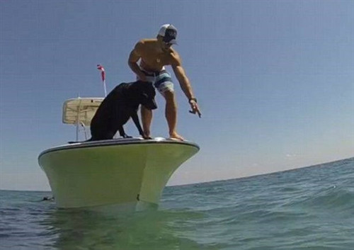 Trong một lần đi bơi, anh Alex Schulze đã bất ngờ nảy ra ý tưởng huấn luyện chú chó để giúp mình bắt tôm hùm. (Nguồn: CCTVNews)