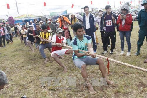 Thi đấu kéo co tại Lễ hội hoa Dã quỳ - Núi lửa Chư Đang Ya năm 2017. Ảnh: Hồng Điệp – TTXVN