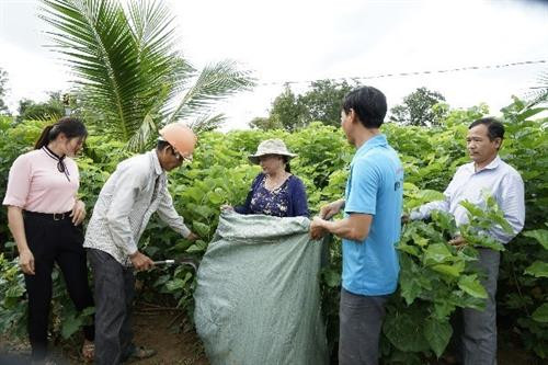 Các mô hình trồng dâu nuôi tằm giúp người dân thoát nghèo tại huyện Đạ Tẻh và Cát Tiên (Lâm Đồng). Ảnh: Đặng Tuấn Mô hình nuôi bò giúp người dân thoát nghèo tại huyện Cát Tiên (Lâm Đồng). Ảnh: Đặng Tuấn Các mô hình trồng dâu nuôi tằm giúp người dân thoát nghèo tại huyện Đạ Tẻh và Cát Tiên (Lâm Đồng). Ảnh: Đặng Tuấn Mô hình nuôi bò giúp người dân thoát nghèo tại huyện Cát Tiên (Lâm Đồng). Ảnh: Đặng Tuấn