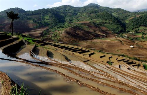 Người dân lấy nước vào ruộng chuẩn bị cho vụ lúa mới tại xã Tả Lèng, huyện Tam Đường tỉnh Lai Châu. Ảnh: Quý Trung - TTXVN Để có những thửa ruộng bậc thang chạy dài uốn quanh sườn núi là công sức của bao đời của nhân dân các vùng núi cao. Ảnh: Quý Trung - TTXVN Người dân tập trung cấy trên những cánh đồng đã đầy no nước trời tại xã Tả Lèng huyện Tam Đường tỉnh Lai Châu. Ảnh: Quý Trung - TTXVN Nhiều hộ dân có điều kiện đầu tư máy cầy để phục vụ cho một vụ mùa mới. Ảnh: Quý Trung - TTXVN Những cơn mưa lớn mang dòng nước nguồn từ trên các ngọn núi đổ xuống những ruộng bậc thang tạo thành những vệt màu đa sắc, càng làm sống động bức tranh bình dị của xã Tà Lèng, huyện Tam Đường tỉnh Lai Châu. Ảnh: Quý Trung - TTXVN Người dân lấy nước vào ruộng chuẩn bị cho vụ lúa mới tại xã Tả Lèng, huyện Tam Đường tỉnh Lai Châu. Ảnh: Quý Trung - TTXVN Để có những thửa ruộng bậc thang chạy dài uốn quanh sườn núi là công sức của bao đời của nhân dân các vùng núi cao. Ảnh: Quý Trung - TTXVN Người dân tập trung cấy trên những cánh đồng đã đầy no nước trời tại xã Tả Lèng huyện Tam Đường tỉnh Lai Châu. Ảnh: Quý Trung - TTXVN Nhiều hộ dân có điều kiện đầu tư máy cầy để phục vụ cho một vụ mùa mới. Ảnh: Quý Trung - TTXVN Những cơn mưa lớn mang dòng nước nguồn từ trên các ngọn núi đổ xuống những ruộng bậc thang tạo thành những vệt màu đa sắc, càng làm sống động bức tranh bình dị của xã Tà Lèng, huyện Tam Đường tỉnh Lai Châu. Ảnh: Quý Trung - TTXVN