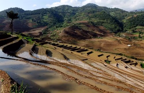 Người dân lấy nước vào ruộng chuẩn bị cho vụ lúa mới tại xã Tả Lèng, huyện Tam Đường tỉnh Lai Châu. Ảnh: Quý Trung - TTXVN Để có những thửa ruộng bậc thang chạy dài uốn quanh sườn núi là công sức của bao đời của nhân dân các vùng núi cao. Ảnh: Quý Trung - TTXVN Người dân tập trung cấy trên những cánh đồng đã đầy no nước trời tại xã Tả Lèng huyện Tam Đường tỉnh Lai Châu. Ảnh: Quý Trung - TTXVN Nhiều hộ dân có điều kiện đầu tư máy cầy để phục vụ cho một vụ mùa mới. Ảnh: Quý Trung - TTXVN Những cơn mưa lớn mang dòng nước nguồn từ trên các ngọn núi đổ xuống những ruộng bậc thang tạo thành những vệt màu đa sắc, càng làm sống động bức tranh bình dị của xã Tà Lèng, huyện Tam Đường tỉnh Lai Châu. Ảnh: Quý Trung - TTXVN