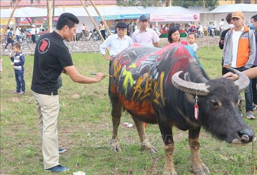 Họa sỹ thể hiện ý tưởng nghệ thuật trên mình trâu. Ảnh: Nguyễn Chinh - TTXVN Họa sỹ thể hiện ý tưởng nghệ thuật trên mình trâu. Ảnh: Nguyễn Chinh - TTXVN