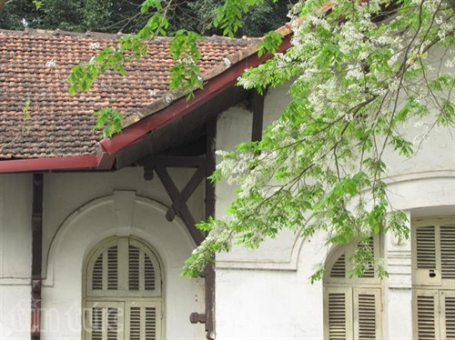 Hẹn gặp lại, sắc trắng hoa sưa ảnh 13