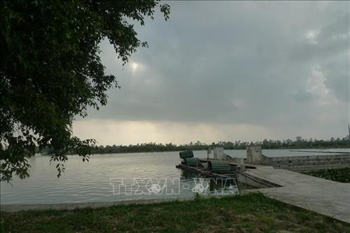 Mỗi năm hợp tác xã cung ứng ra thị trường trên 5.000 tấn cá thương phẩm, trong đó 3.500 tấn cá rô phi, chủ yếu bán vào các siêu thị, chuỗi cửa hàng thực phẩm sạch, bếp ăn tập thể của các công ty. Ảnh: Thanh Nga - TTXVN