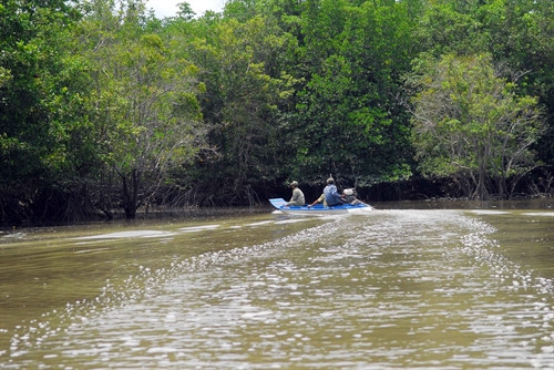 Lực lượng Ban quản lý rừng phòng hộ Cần Giờ thực hiện tuần tra, kiểm soát bảo vệ rừng.