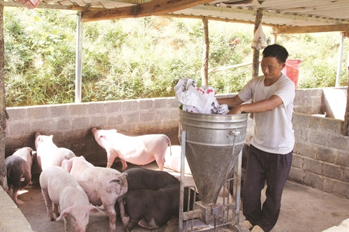 Trình độ sản xuất nông nghiệp của đồng bào vùng cao ngày càng được cải thiện Trình độ sản xuất nông nghiệp của đồng bào vùng cao ngày càng được cải thiện