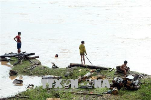 Những đứa trẻ không biết tai họa có thể ập đến lúc nào khi vớt củi trong mùa mưa bão. Ảnh: Phan Tuấn Anh - TTXVN Những đứa trẻ chờ đợi những tấm gỗ, thân cây trôi theo dòng nước. Ảnh: Phan Tuấn Anh - TTXVN Những đứa trẻ không biết tai họa có thể ập đến lúc nào khi vớt củi trong mùa mưa bão. Ảnh: Phan Tuấn Anh - TTXVN Những đứa trẻ chờ đợi những tấm gỗ, thân cây trôi theo dòng nước. Ảnh: Phan Tuấn Anh - TTXVN Dù nước sông chảy xiết, luôn rình rập hiểm nguy nhưng những đứa trẻ vẫn lao ra vớt củi. Ảnh: Phan Tuấn Anh - TTXVN Những đứa trẻ không biết tai họa có thể ập đến lúc nào khi vớt củi trong mùa mưa bão. Ảnh: Phan Tuấn Anh - TTXVN Những đứa trẻ chờ đợi những tấm gỗ, thân cây trôi theo dòng nước. Ảnh: Phan Tuấn Anh - TTXVN Những đứa trẻ không biết tai họa có thể ập đến lúc nào khi vớt củi trong mùa mưa bão. Ảnh: Phan Tuấn Anh - TTXVN Những đứa trẻ chờ đợi những tấm gỗ, thân cây trôi theo dòng nước. Ảnh: Phan Tuấn Anh - TTXVN Dù nước sông chảy xiết, luôn rình rập hiểm nguy nhưng những đứa trẻ vẫn lao ra vớt củi. Ảnh: Phan Tuấn Anh - TTXVN