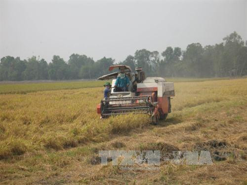 Thu hoạch lúa đông xuân ở xã Mỹ Thành Nam, Cai Lậy, Tiền Giang. Ảnh: Minh Trí - TTXVN Thu hoạch lúa đông xuân ở xã Mỹ Thành Nam, Cai Lậy, Tiền Giang. Ảnh: Minh Trí - TTXVN