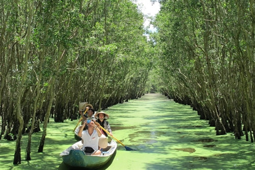 Du lịch rừng tràm Trà Sư. Ảnh: K.N.B Du lịch rừng tràm Trà Sư. Ảnh: K.N.B