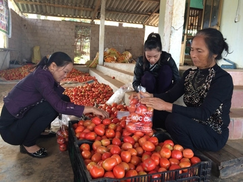 Bà Nguyễn Thị Luyến cùng các hội viên đóng gói sản phẩm đưa đi tiêu thụ tại các siêu thị ở Hà Nội. Ảnh: internet