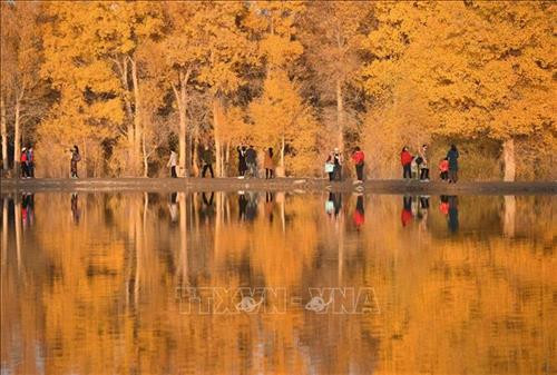 Du khách chiêm ngưỡng hàng cây lá phong đỏ tại Hàm Đan, tỉnh Hà Bắc, Trung Quốc. Ảnh: THX/TTXVN. Hoa cúc khoe sắc tại triển lãm hoa quốc tế Bắc Kinh, Trung Quốc. Ảnh: THX/ TTXVN Hoa cúc nở rộ tại Bắc Kinh, Trung Quốc. Ảnh: THX/TTXVN Người dân thăm triển lãm hoa quốc tế Bắc Kinh, Trung Quốc. Ảnh: THX/TTXVN Cảnh sắc mùa thu tại Tửu Tuyền, tỉnh Cam Túc, miền Tây Bắc Trung Quốc. Ảnh: THX/TTXVN Du khách chiêm ngưỡng cảnh đẹp tại Tửu Tuyền, tỉnh Cam Túc, miền Tây Bắc Trung Quốc. Ảnh: THX/TTXVN Mùa thu vàng hấp dẫn du khách tại Tửu Tuyền, tỉnh Cam Túc, miền Tây Bắc Trung Quốc. Ảnh: THX/TTXVN Sắc màu thu tại Khu tự trị Nội Mông, miền Bắc Trung Quốc. Ảnh: THX/TTXVN phát Sắc màu thu tại Tế Nam, tỉnh Sơn Đông, Trung Quốc ngày 21/10/2019. Ảnh: THX/TTXVN phát Du khách chiêm ngưỡng hàng cây lá phong đỏ tại Hàm Đan, tỉnh Hà Bắc, Trung Quốc. Ảnh: THX/TTXVN. Hoa cúc khoe sắc tại triển lãm hoa quốc tế Bắc Kinh, Trung Quốc. Ảnh: THX/ TTXVN Hoa cúc nở rộ tại Bắc Kinh, Trung Quốc. Ảnh: THX/TTXVN Người dân thăm triển lãm hoa quốc tế Bắc Kinh, Trung Quốc. Ảnh: THX/TTXVN Cảnh sắc mùa thu tại Tửu Tuyền, tỉnh Cam Túc, miền Tây Bắc Trung Quốc. Ảnh: THX/TTXVN Du khách chiêm ngưỡng cảnh đẹp tại Tửu Tuyền, tỉnh Cam Túc, miền Tây Bắc Trung Quốc. Ảnh: THX/TTXVN Mùa thu vàng hấp dẫn du khách tại Tửu Tuyền, tỉnh Cam Túc, miền Tây Bắc Trung Quốc. Ảnh: THX/TTXVN Sắc màu thu tại Khu tự trị Nội Mông, miền Bắc Trung Quốc. Ảnh: THX/TTXVN phát Sắc màu thu tại Tế Nam, tỉnh Sơn Đông, Trung Quốc ngày 21/10/2019. Ảnh: THX/TTXVN phát