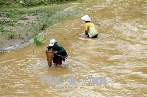 Người dân vẫn vô tư bắt tôm, cá khi nước lũ tràn về trên suối Nậm Núa. Ảnh: Phan Tuấn Anh - TTXVN Người dân vẫn vô tư bắt tôm, cá khi nước lũ tràn về trên suối Nậm Núa. Ảnh: Phan Tuấn Anh - TTXVN