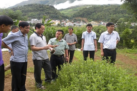 Thăm vườn ươm giống. Thăm vườn ươm giống.