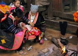 Ảnh minh họa. Ảnh minh họa.