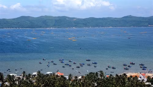 Bao bọc khu vực bờ vịnh là những rừng dừa xanh ngát,