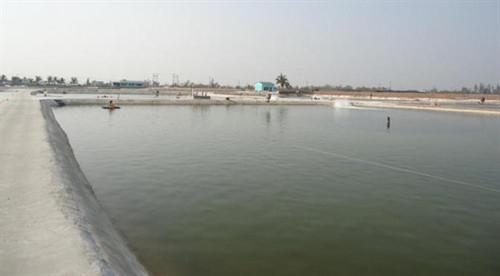 Hồ nuôi tôm Hồ nuôi tôm