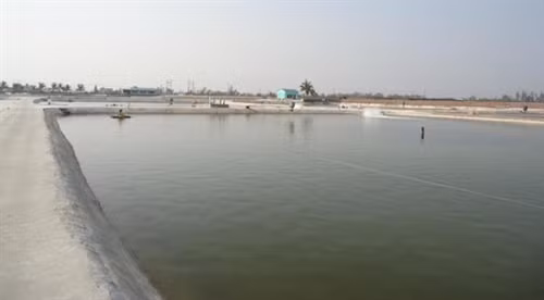 Hồ nuôi tôm