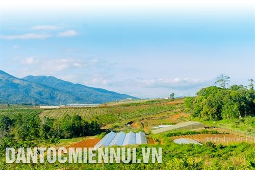 Với sự đầu tư mạnh mẽ về nông nghiệp ứng dụng công nghệ cao, ngành du lịch của huyện Kon Plông khởi sắc. Ảnh: Quang Thái