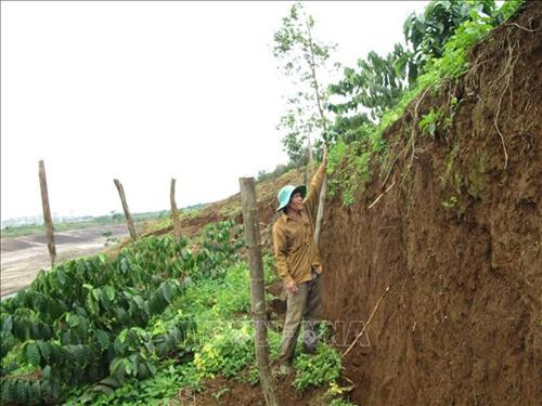 Đất canh tác của người dân gần hồ bùn đỏ số 2 Nhà máy Alumin Nhân Cơ bị sụt lún nghiêm trọng. Ảnh: TTXVN phát Đất canh tác của người dân gần hồ bùn đỏ số 2 Nhà máy Alumin Nhân Cơ bị sụt lún nghiêm trọng. Ảnh: TTXVN phát