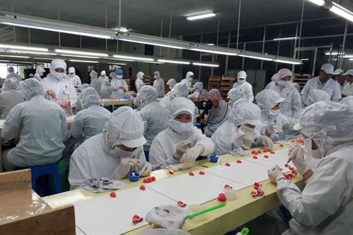 Các công nhân thực hiện công đoạn chế biến thực phẩm tại một công ty sản xuất thực phẩm ở Long An. Nguồn: Báo Long An online