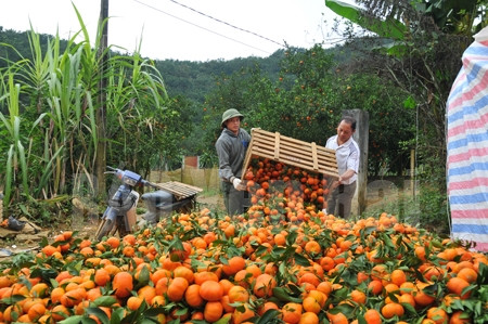 Ảnh minh họa Ảnh minh họa