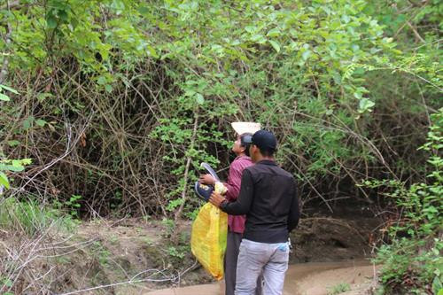 Những thợ săn kiến vàng thường đi dọc suối và tập trung quan sát trên các ngọn cây để tìm tổ kiến. Tổ kiến được những con kiến vàng to, vàng ươm, bụng căng mọng bảo vệ. Những tổ kiến nhỏ ở gần mặt đất, thợ săn kiến dễ dàng bắt cả tổ mang về. Những tổ kiến vàng có kích thước “khủng” thường được làm trên cây cao, thợ săn kiến phải leo lên mới bắt được tổ. Tuy nhiên việc bắt kiến không phải lúc nào cũng suôn sẻ. Tổ kiến bị vỡ, kiến tràn ra ngoài. Kiến vàng trưởng thành, kiến con, trứng kiến nằm lăn lóc trên đất. Ông Nay Mơ (buôn Chư Krih, xã Chư Drăng, huyện Krông Pa) dùng tay không bắt kiến. Cả tổ kiến được bắt bỏ vào bao mang sẵn. Kiến vàng và trứng kiến được rang sơ trên chảo nóng rồi loại bỏ phần rác, lá cây. Kiến vàng và trứng kiến đã được làm sạch, chuẩn bị chế biến muối kiến vàng. Kiến vàng và trứng kiến được giã cùng một số gia vị khác như muối, ớt rừng, lá thèn len… Muối kiến vàng có vị chua, mặn nên có thể ăn không hoặc ăn chung với cơm trắng, rau luộc, thịt luộc, thịt bò….. Những thợ săn kiến vàng thường đi dọc suối và tập trung quan sát trên các ngọn cây để tìm tổ kiến. Tổ kiến được những con kiến vàng to, vàng ươm, bụng căng mọng bảo vệ. Những tổ kiến nhỏ ở gần mặt đất, thợ săn kiến dễ dàng bắt cả tổ mang về. Những tổ kiến vàng có kích thước “khủng” thường được làm trên cây cao, thợ săn kiến phải leo lên mới bắt được tổ. Tuy nhiên việc bắt kiến không phải lúc nào cũng suôn sẻ. Tổ kiến bị vỡ, kiến tràn ra ngoài. Kiến vàng trưởng thành, kiến con, trứng kiến nằm lăn lóc trên đất. Ông Nay Mơ (buôn Chư Krih, xã Chư Drăng, huyện Krông Pa) dùng tay không bắt kiến. Cả tổ kiến được bắt bỏ vào bao mang sẵn. Kiến vàng và trứng kiến được rang sơ trên chảo nóng rồi loại bỏ phần rác, lá cây. Kiến vàng và trứng kiến đã được làm sạch, chuẩn bị chế biến muối kiến vàng. Kiến vàng và trứng kiến được giã cùng một số gia vị khác như muối, ớt rừng, lá thèn len… Muối kiến vàng có vị chua, mặn nên có thể ăn không hoặc ăn chung với cơm trắng, rau luộc, thịt luộc, thịt bò…..