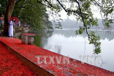 Ảnh minh họa - TTXVN Ảnh minh họa - TTXVN