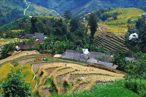 Ruộng bậc thang Hoàng Su Phì (Hà Giang). Ảnh: Minh Tâm-TTXVN Ruộng bậc thang Hoàng Su Phì (Hà Giang). Ảnh: Minh Tâm-TTXVN