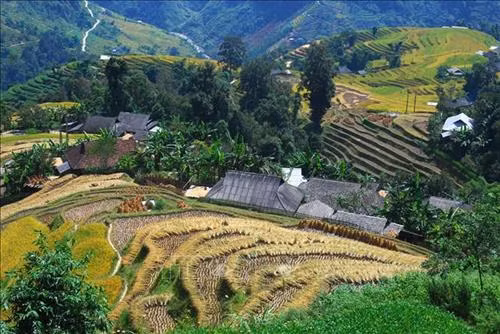 Ruộng bậc thang Hoàng Su Phì (Hà Giang). Ảnh: Minh Tâm-TTXVN