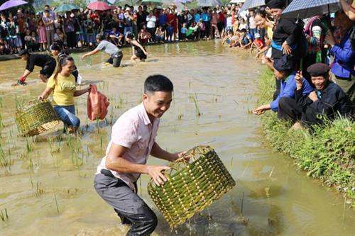 Thi bắt cá trong Tết lúa mới của người Bố Y. Ảnh: Hải Lê Thi bắt cá trong Tết lúa mới của người Bố Y. Ảnh: Hải Lê