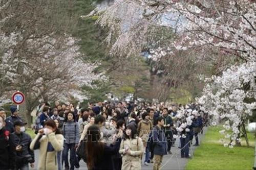 Hoa anh đào nở rộ trên sông Meguro, thủ đô Tokyo, Nhật Bản, ngày 3/4/2019. Ảnh: THX/ TTXVN Hoa anh đào nở rộ tại thủ đô Tokyo, Nhật Bản, ngày 27/3/2019. Ảnh: Kyodo/ TTXVN Người dân chiêm ngưỡng vẻ đẹp của hoa anh đào tại Tokyo, Nhật Bản, ngày 30/3/2019. Ảnh: Kyodo/ TTXVN Hoa anh đào nở rộ trên sông Meguro, thủ đô Tokyo, Nhật Bản, ngày 3/4/2019. Ảnh: THX/ TTXVN Hoa anh đào nở rộ tại thủ đô Tokyo, Nhật Bản, ngày 27/3/2019. Ảnh: Kyodo/ TTXVN Người dân chiêm ngưỡng vẻ đẹp của hoa anh đào tại Tokyo, Nhật Bản, ngày 30/3/2019. Ảnh: Kyodo/ TTXVN