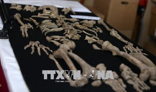 Bộ xương người được phát hiện bên trong căn hầm chật hẹp của ngôi đền Chavín de Huántar, Peru ngày 20/8. Ảnh: AFP/ TTXVN Bộ xương người được phát hiện bên trong căn hầm chật hẹp của ngôi đền Chavín de Huántar, Peru ngày 20/8. Ảnh: AFP/ TTXVN
