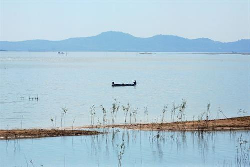 Vẻ quyến rũ của “vịnh không sóng” Hồ Dầu Tiếng ảnh 1