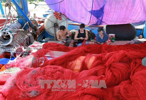 Ngư dân huyện Phú Vang chuẩn bị ngư lưới cụ sẵn sàng ra khơi. Ảnh: Hồ Cầu-TTXVN Ngư dân huyện Phú Vang chuẩn bị ngư lưới cụ sẵn sàng ra khơi. Ảnh: Hồ Cầu-TTXVN