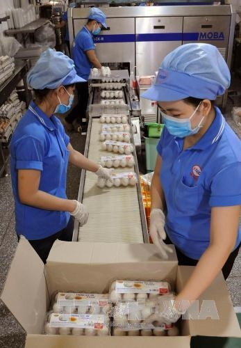 Sôi động thị trường việc làm dịp Tết nguyên đán ảnh 1 Sôi động thị trường việc làm dịp Tết nguyên đán ảnh 1